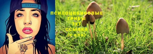 стаф Алексин