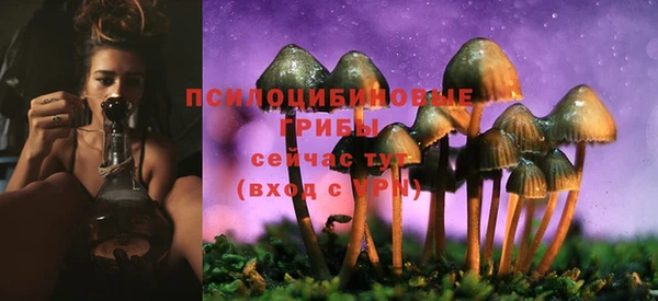 МДПВ Нея
